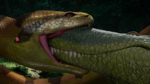 第49話 【最強王トーナメント】ティタノボア VS プルスサウルス