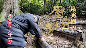 泉秀樹の歴史を歩く 前田利家 傾奇者の道