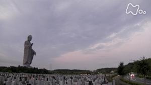ドキュメント７２時間　大仏を見上げる霊園で