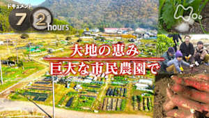 ドキュメント７２時間　大地の恵み　巨大な市民農園で