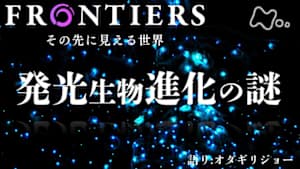 フロンティア　発光生物　進化の謎