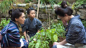 八重の桜　　５回　松陰の遺言