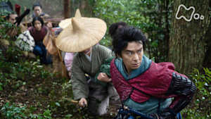 麒麟がくる　（１８）越前へ