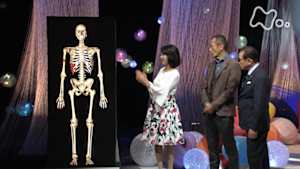 Ｎスペ　シリーズ　人体　神秘の巨大ネットワーク　第３集　“骨”が出す！最高の若返り物質