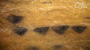 コズミックフロント　謎の記号　祖先からのメッセージ