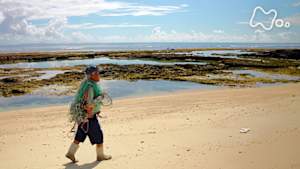 新日本風土記　私の居場所