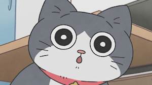 ねこに転生したおじさん 第13話