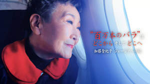 “百万本のバラ”はどこから　そして　どこへ