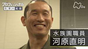 プロフェッショナル　河原直明（水族園職員）