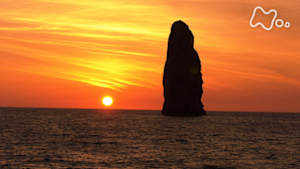 ＢＳ１ＳＰ　東京ロストワールド　秘島探検の全記録　後編