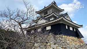 絶対行きたくなる！ニッポン不滅の名城　徳川家康の城　後編