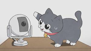 ねこに転生したおじさん 第16話 うっかり