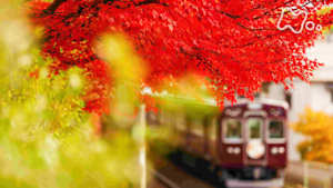 中井精也の絶景！てつたび　晩秋の兵庫　錦に染まる鉄路を行く！