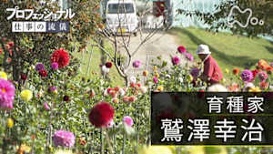 プロフェッショナル　鷲澤幸治（育種家）