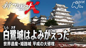 新プロジェクトＸ～挑戦者たち～　白鷺城はよみがえった　～世界遺産・姫路城　平成の大修理～