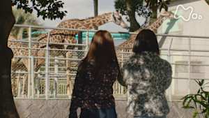 ドキュメント７２時間　キリンが見える散歩道