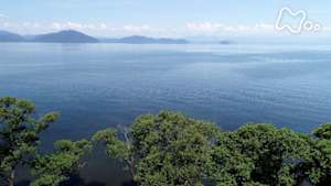 ワイルドライフ　今森光彦とめぐる琵琶湖　巨大水系に命あふれる