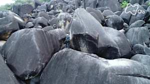 ワイルドライフ　オーストラリア　巨岩のロストワールド　未知の生命を発見せよ！