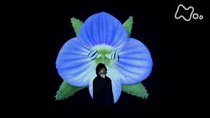 植物に学ぶ生存戦略　話す人・山田孝之　（２）オオイヌノフグリ　１０分版