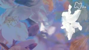 植物に学ぶ生存戦略　話す人・山田孝之　（２）ウメ　１０分版