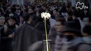 ドキュメント２０ｍｉｎ．　わたし、【終活】しています。