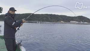 釣りびと万歳　明け方の勝負！カセに集まる寒ブリ～和田一浩　和歌山・串本町～