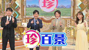 ナニコレ珍百景