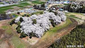 英雄たちの選択　シリーズ　古墳の時代　（１）黄金の馬を育てよ～地方豪族から見たヤマト王権～