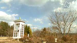 時をかけるテレビ～今こそ見たい！この１本～　風の電話　～残された人々の声～