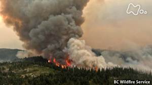 ＢＳスペシャル　デジタル・アイ　消える大森林