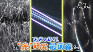 サイエンスＺＥＲＯ　未来を紡ぐ！“糸”研究最前線