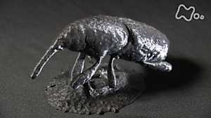 歴史探偵　縄文レボリューション