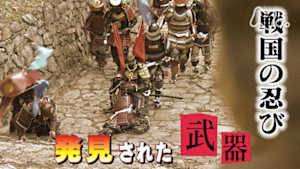 歴史探偵　戦国の忍び