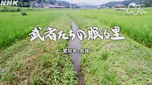 よみがえる新日本紀行　武者たちの眠る里－愛知県・長篠－