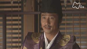 義経　（２８）頼朝非情なり