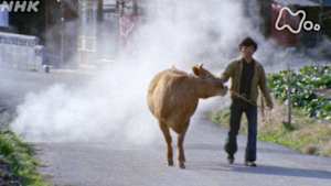 よみがえる新日本紀行　野焼きのころー熊本県　阿蘇山麓ー