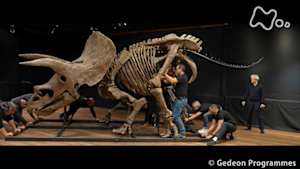 ＢＳ世界ドキュ　ジュラシック・キャッシュ　“恐竜化石オークション”の舞台裏