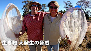 生き物 大発生の脅威