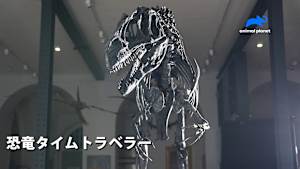 恐竜タイムトラベラー