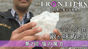 フロンティア　シリーズ　食　敵か味方か？　第２回　塩の魔力