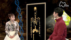 サイエンスＺＥＲＯ　最新報告　古代ＤＮＡで迫る　日本人の来た道