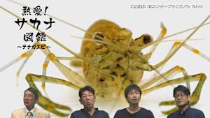 熱愛！サカナ図鑑 11 / ～テナガエビ～