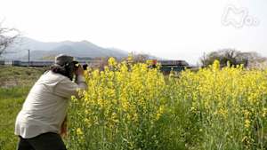 中井精也の絶景！てつたび　愛媛　彩りの春