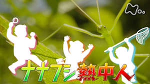 ダーウィンが来た! J:COM STREAM 視聴サイト