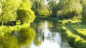 ワイルドライフ　英国南部　チョークの大地に命輝く