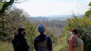 にっぽん百低山　大平山・神奈川