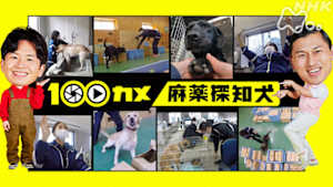 １００カメ　麻薬探知犬
