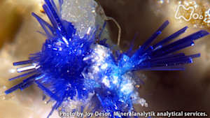 コズミックフロント　カーボンプラネット　炭素と地球　知られざる物語