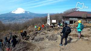 にっぽん百低山　金時山・神奈川　静岡