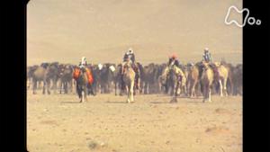 時をかけるテレビ～今こそ見たい！この１本～　シルクロード　キャラバンは西へ～再現・古代隊商の旅～